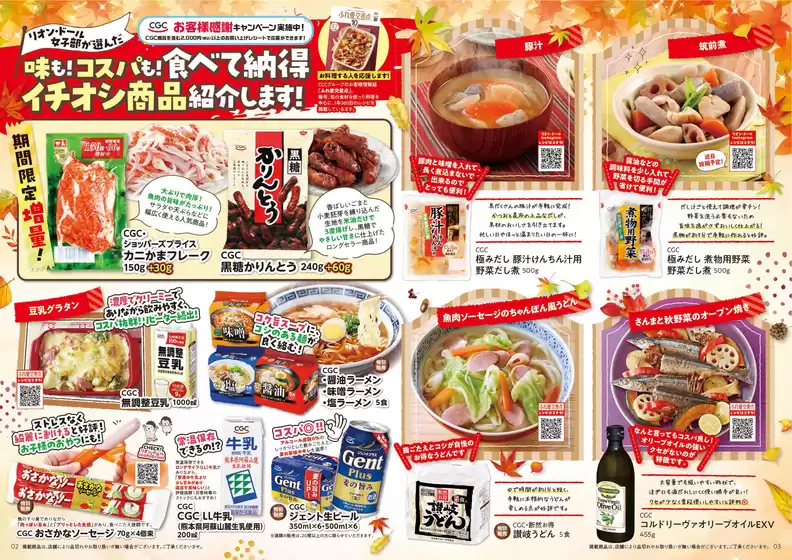 main_flyer image