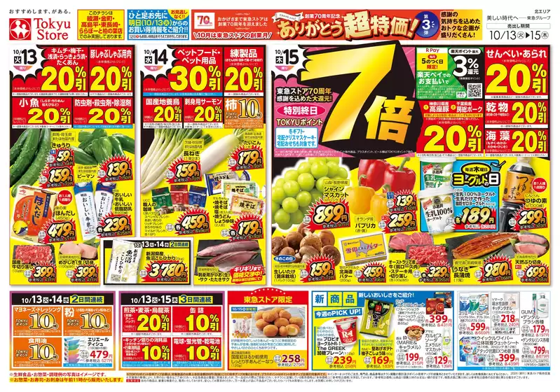 main_flyer image