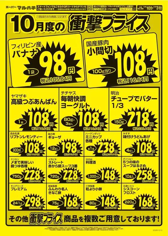 main_flyer image