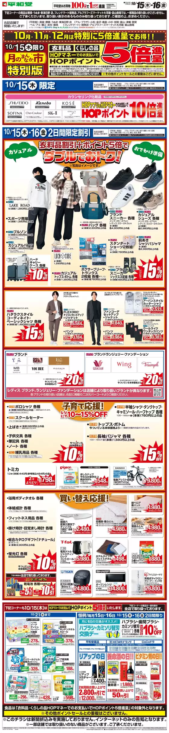 main_flyer image
