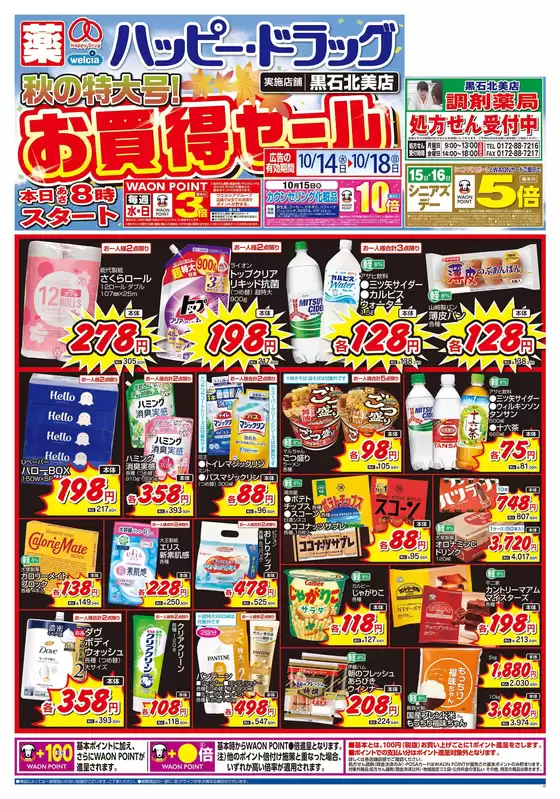 main_flyer image