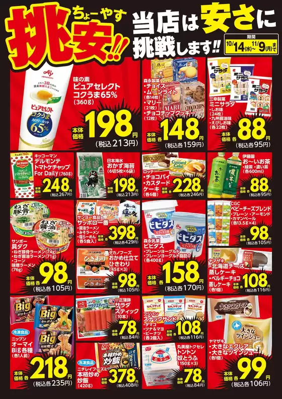 main_flyer image