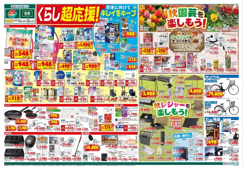 main_flyer image