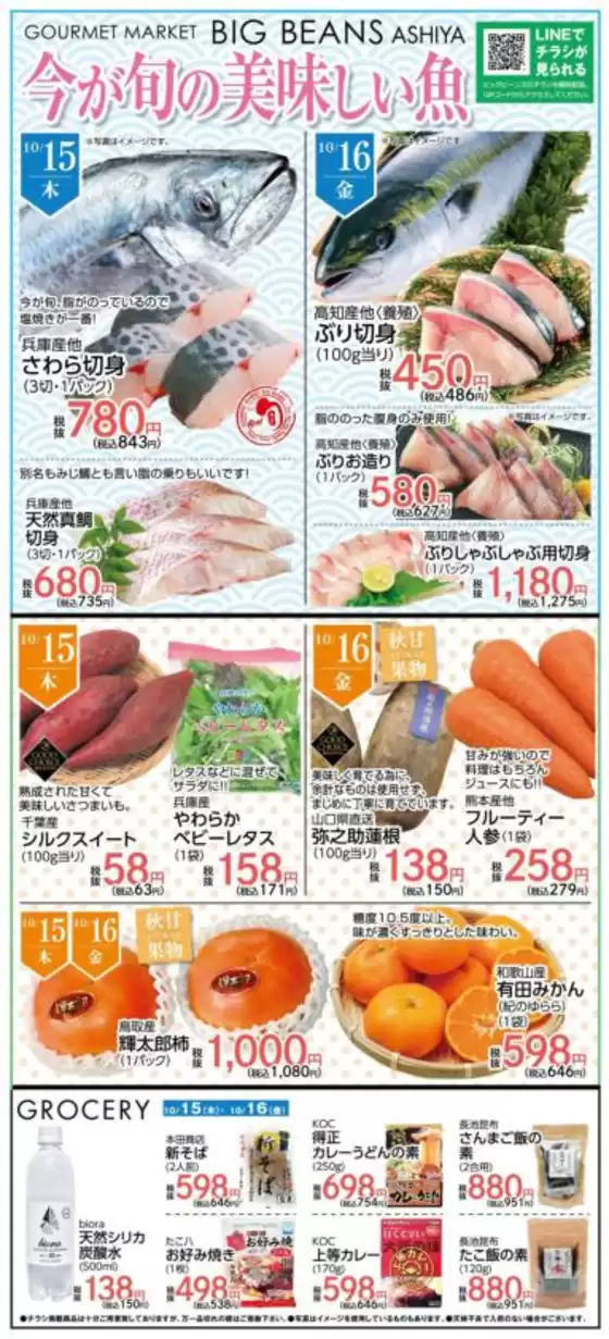 ビッグビーンズのカタログ | 芦屋店 | 2026-10-15T00:00:00.000Z - 2026-10-16T00:00:00.000Z