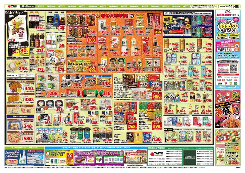 main_flyer image