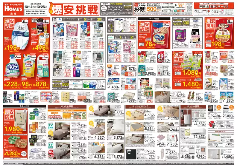 main_flyer image