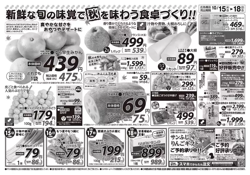 main_flyer image