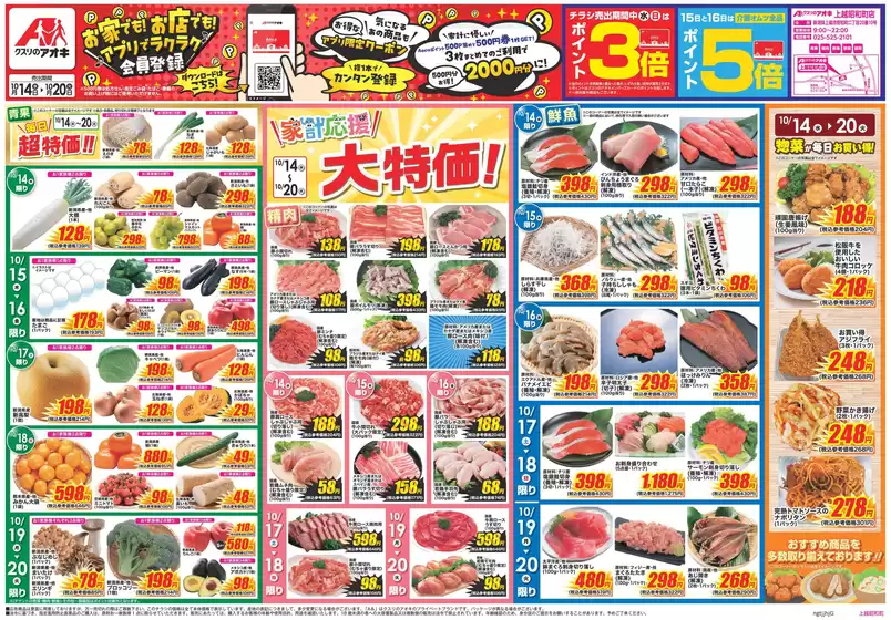 main_flyer image