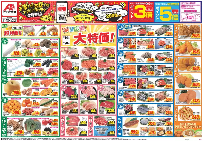 main_flyer image