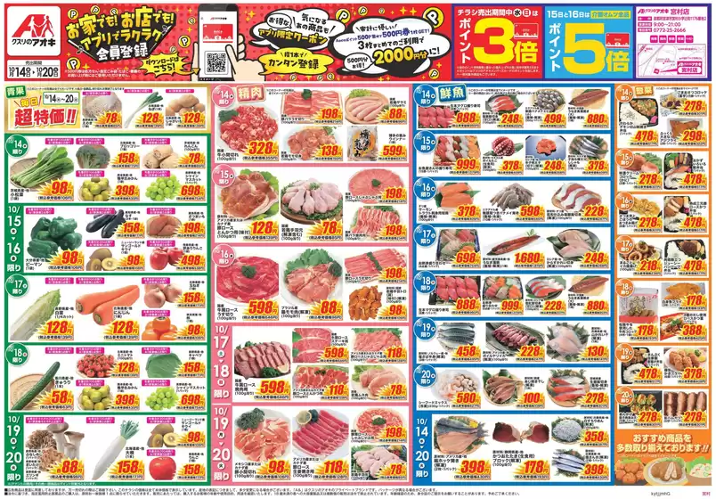 main_flyer image