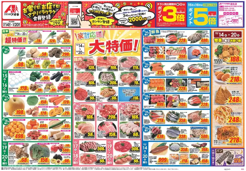 main_flyer image
