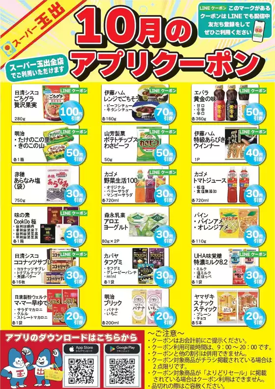 main_flyer image