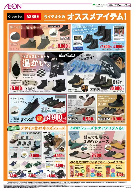 main_flyer image