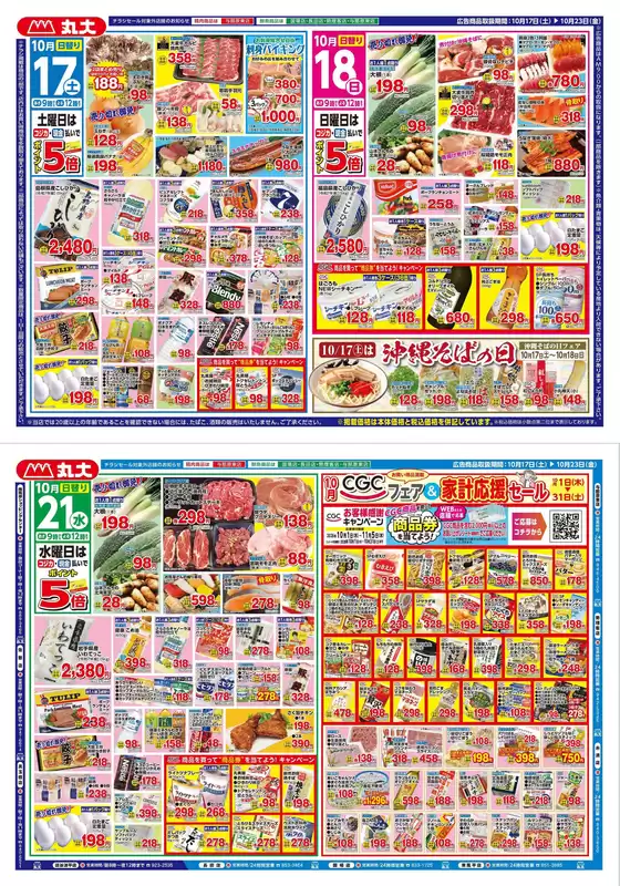 main_flyer image