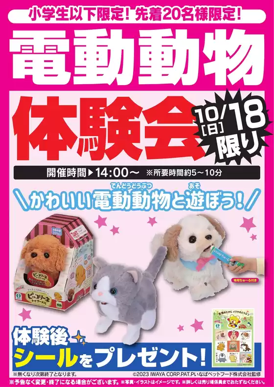 main_flyer image