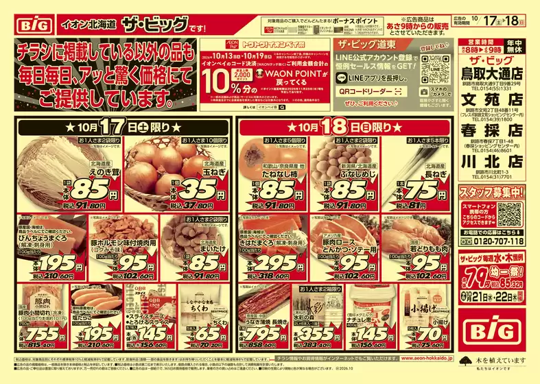 ザ・ビッグのカタログ | 現在の掘り出し物とオファー | 2026-10-16T00:00:00.000Z - 2026-10-19T00:00:00.000Z