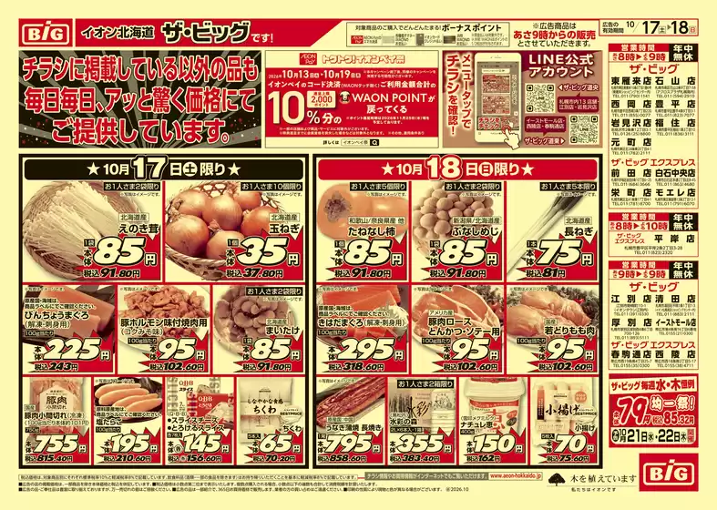 ザ・ビッグのカタログ | ザ・ビッグ チラシ | 2026-10-16T00:00:00.000Z - 2026-10-19T00:00:00.000Z