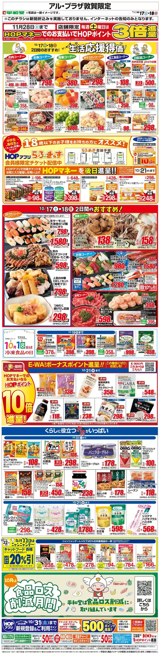 main_flyer image