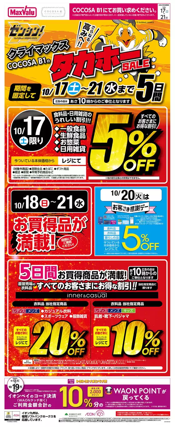 main_flyer image