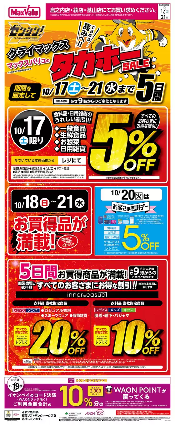 main_flyer image