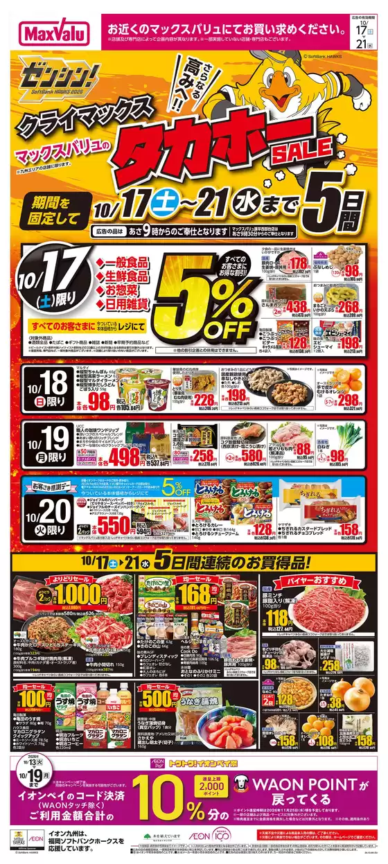main_flyer image