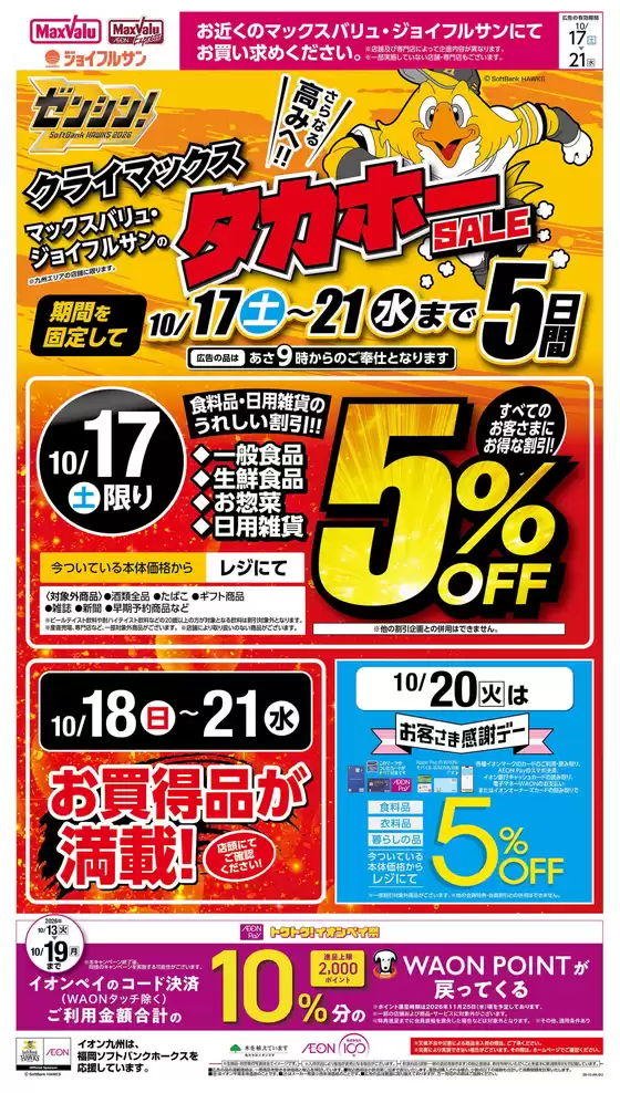 main_flyer image