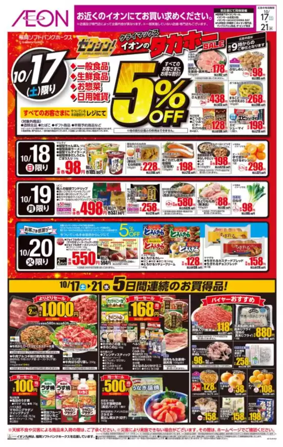 main_flyer image