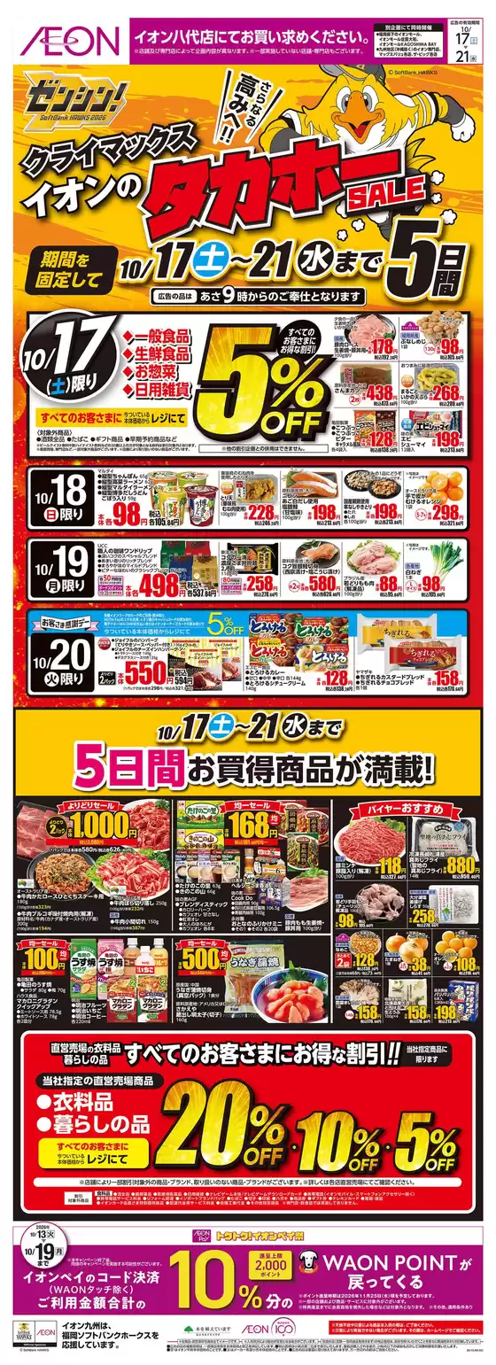 main_flyer image