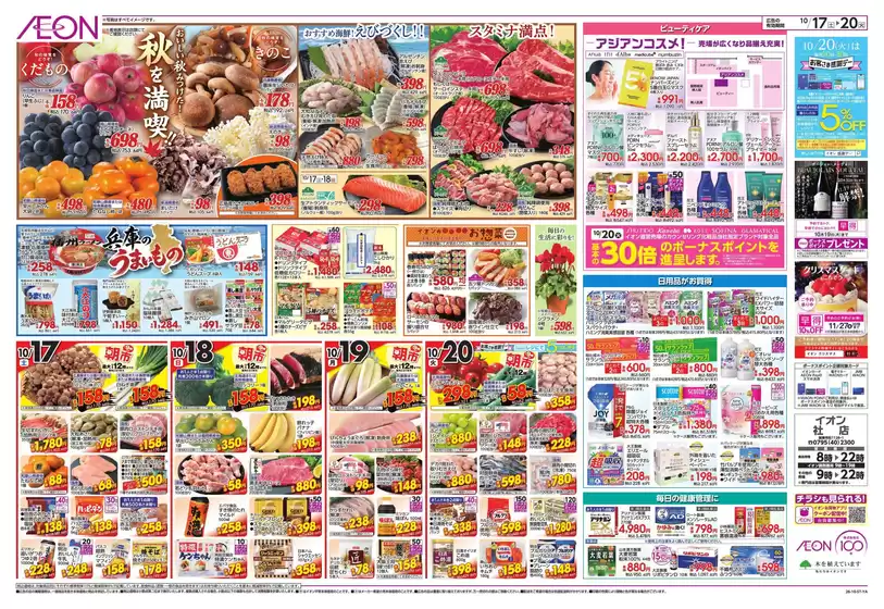 main_flyer image
