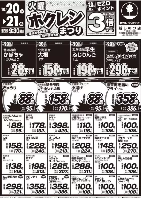 main_flyer image