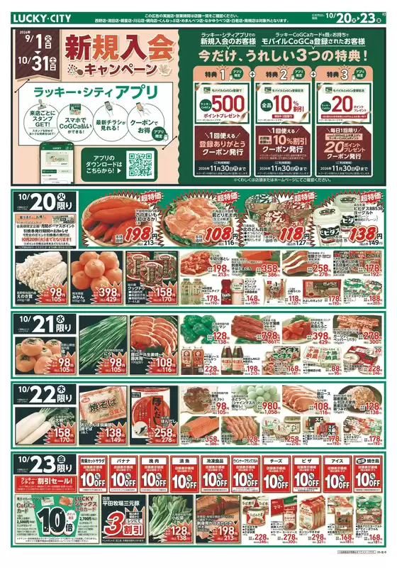 main_flyer image