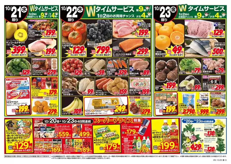 main_flyer image