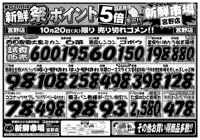 main_flyer image