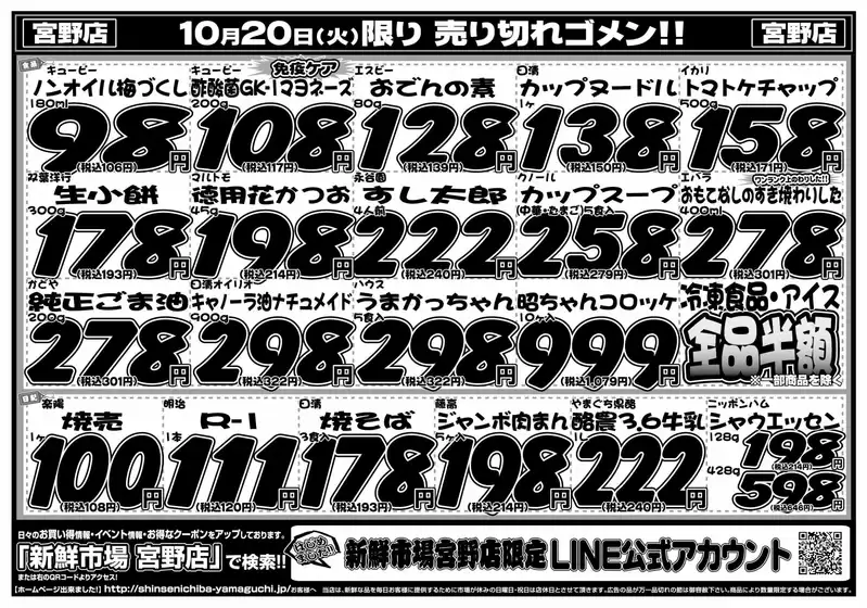 main_flyer image