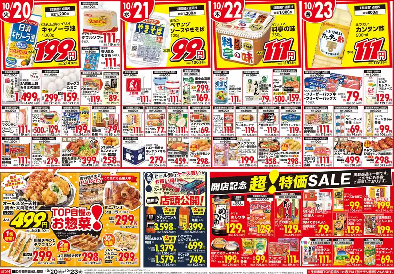 main_flyer image