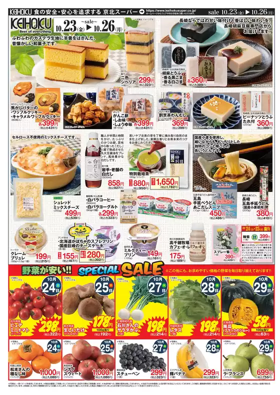 main_flyer image