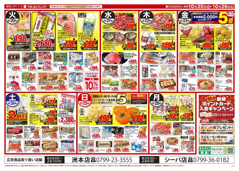 main_flyer image