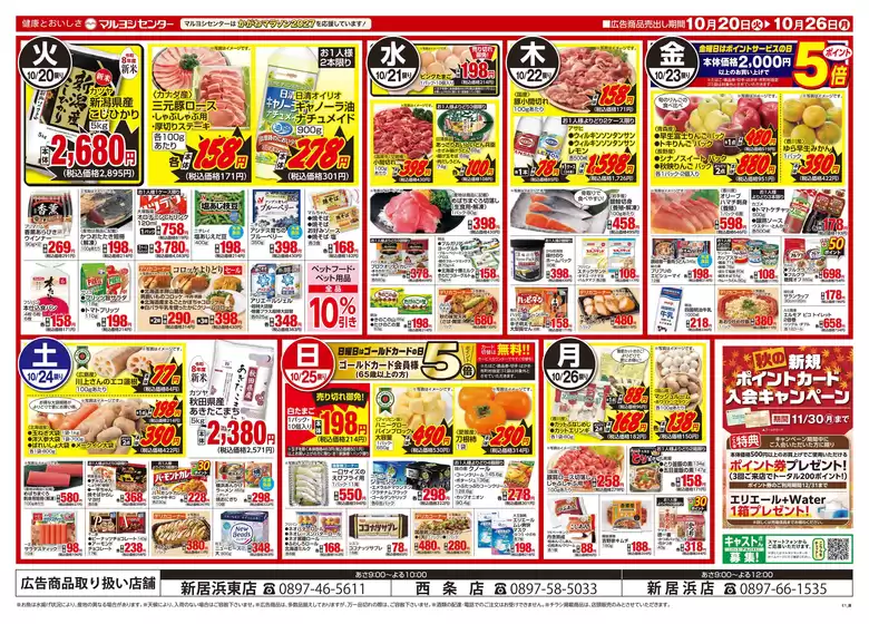 main_flyer image