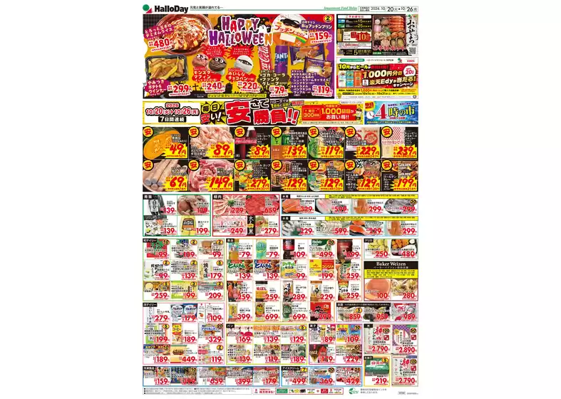 main_flyer image