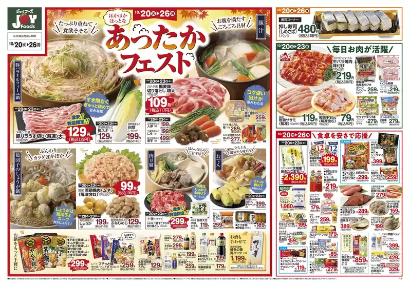 main_flyer image