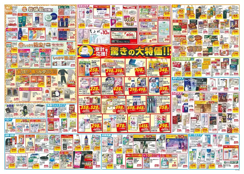 main_flyer image