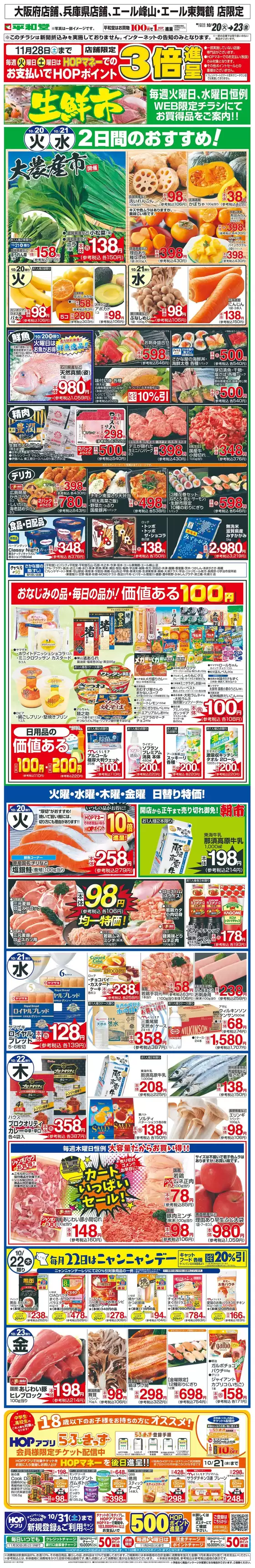 main_flyer image