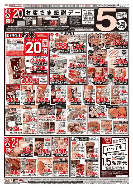 main_flyer image