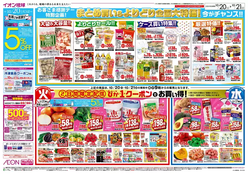 main_flyer image