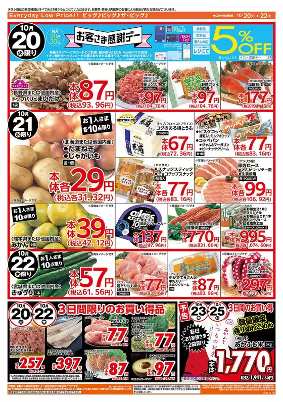 main_flyer image