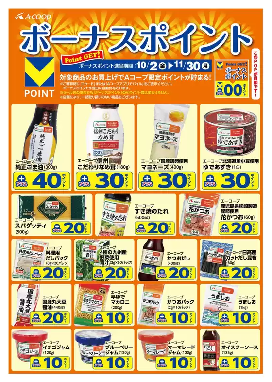 main_flyer image