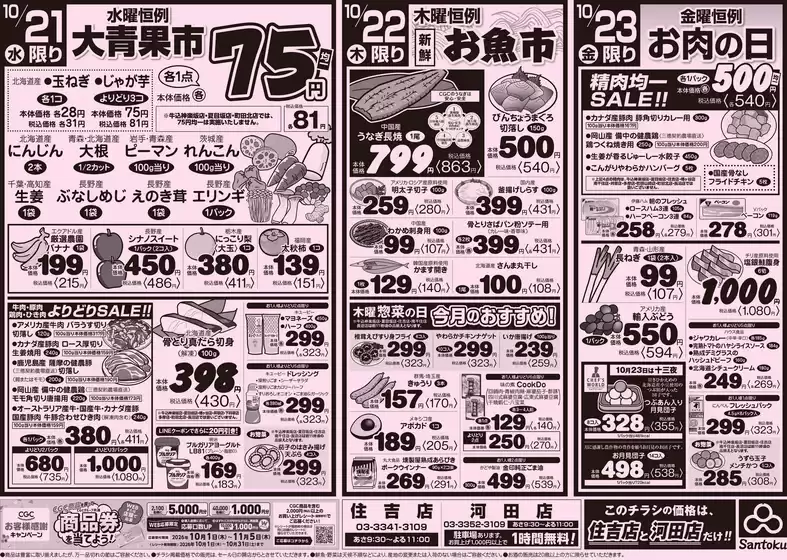 main_flyer image
