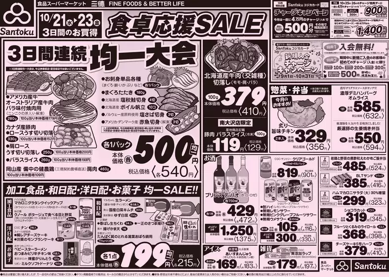 main_flyer image