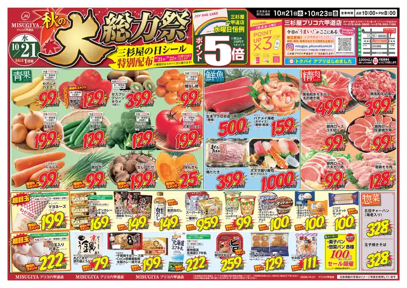main_flyer image