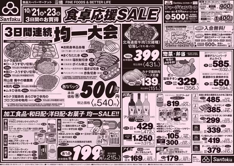 main_flyer image